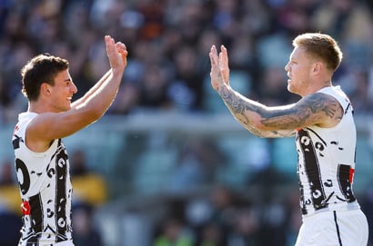 daicos de goey
