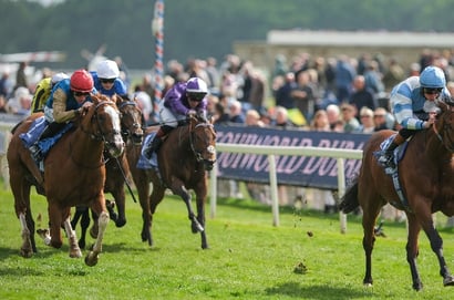 dante stakes