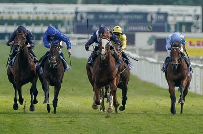 dante stakes york