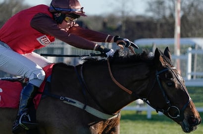 20 Horses To Follow for the 2025/26 Jumps Season (Part 1: 1-10)