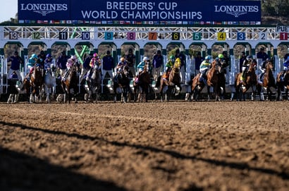 Countdown to the 2025 Breeders’ Cup - Key Dates, Horses & Storylines