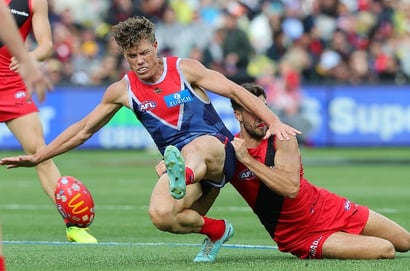demons bombers afl