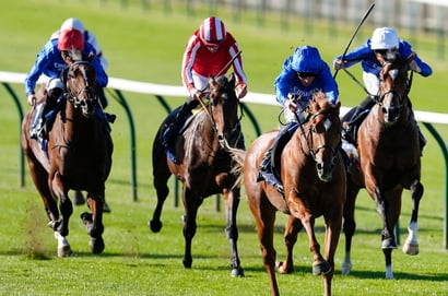 2025 Dewhurst Stakes Odds - Distant Storm heads Gstaad and Zavateri in the market