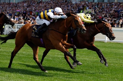 docklands stakes