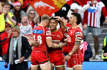 dolphins nrl
