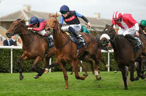 doncaster godwinson