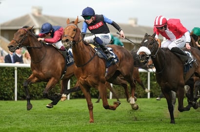 doncaster godwinson
