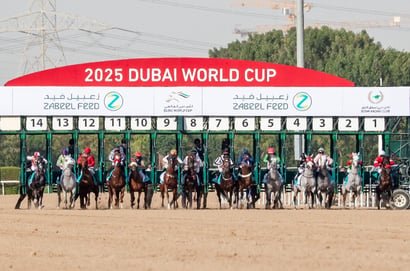 2026 Dubai World Cup Live Stream - Watch this Group One live from Meydan