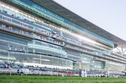 Dubai World Cup Night 2026 Best Bets (Updated 28.03.2026)