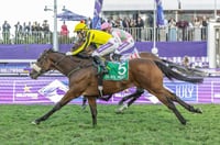durban july