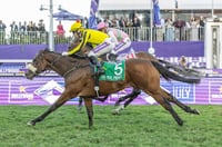 durban july