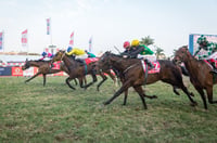 durban july greyville