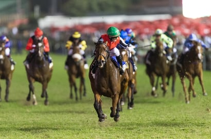 durban july greyville