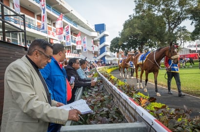 durban july greyville