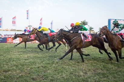 durban july greyville