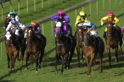 Queensland Derby Tips - Rough Habit Plate form to hold up in the Queensland Derby