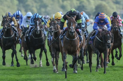 2025 Ebor Handicap Tips - Odds, trends and two selections for York