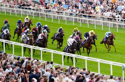 ebor york diamond