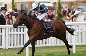Newspaper Racing Tips - Dubai Honour, Desert Castle and Enceladus the tipster's treble on St Leger Day