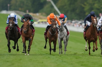 Newspaper Racing Tips - Al Aasy and Term Of Endearment fancied on final day at Goodwood