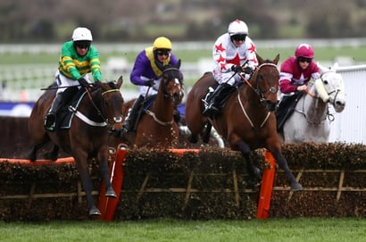 epatante hurdle