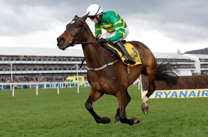 Fact To File smashed into King George VI Chase favouritism