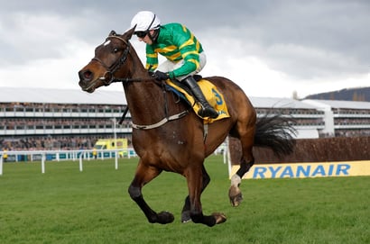Ryanair Chase 2026 Tips - Pre-season guide and selections