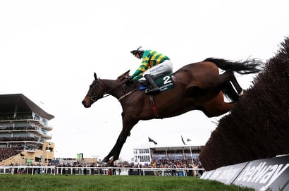Bet365 Super Boost - Get 5/2 on Fact To File to win the Ryanair Chase