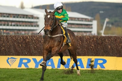 Bet365 Super Boost - Get boosted odds on Fact To File to win the 2026 Ryanair Chase