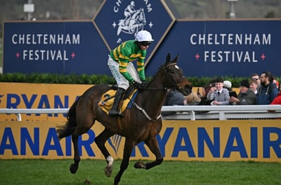 2026 Ryanair Chase Entries - Fact To File heads list of 33 entrants