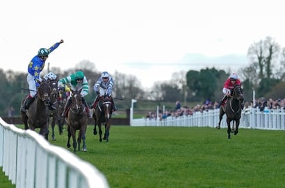 fairyhouse races