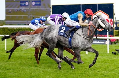 2025 Sun Chariot Stakes Odds - Cinderella's Dreams jumps ahead of Fallen Angel in betting