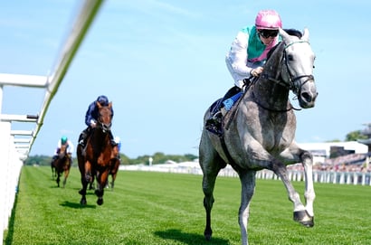 2025 Queen Elizabeth II Stakes Odds - Field Of Gold favourite to bounce back on Champions Day