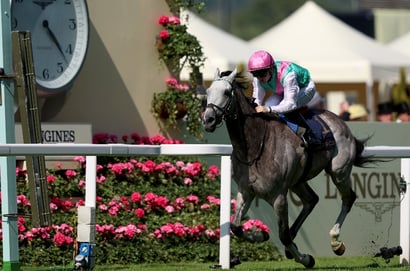 2025 Sussex Stakes Odds - Field Of Gold long odds-on to strike again at Goodwood