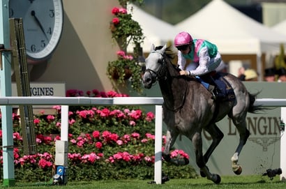 "It was a complete performance" - Sussex Stakes or France next for Field Of Gold