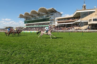 Bet365 Super Boost - Get 6/4 on Field Of Gold to win the St James's Palace Stakes