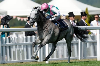 "Hopefully he'll show how good he is again" - Field Of Gold ready for Champions Day assignment