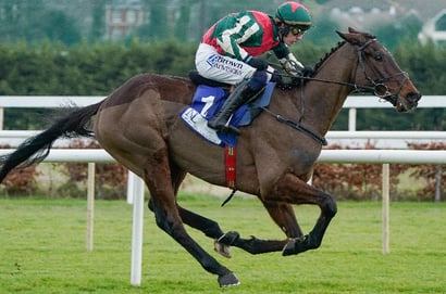 2026 Brown Advisory Novices' Chase Odds - Final Demand still favourite despite DRF flop