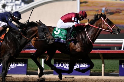 "It's a very attractive idea" - Forever Young handed surprise Royal Ascot entry