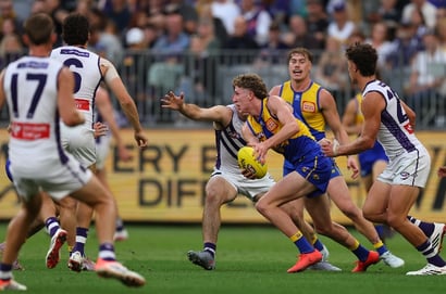 fremantle west coast eagles