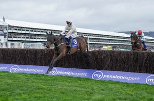 Cheltenham Festival Day 4 Tips - Best Bets for Friday 13th March 2026