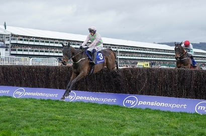 gaelic warrior cheltenham