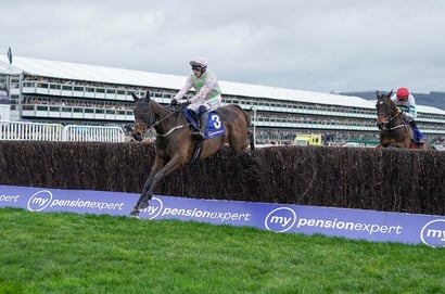 gaelic warrior cheltenham