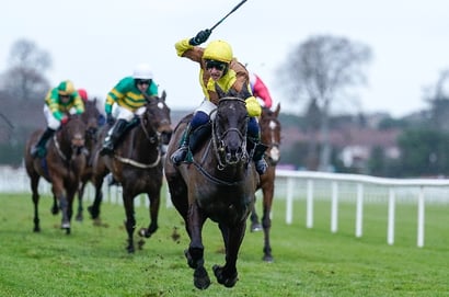 2026 Irish Gold Cup Odds - Galopin Des Champs favourite to  equal Florida Pearl's record