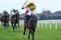 galopin des champs