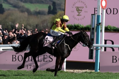 galopin des champs