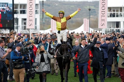 galopin des champs gold cup