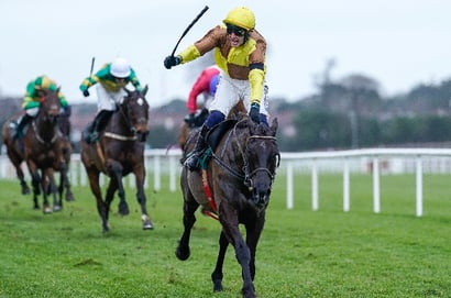 2025 Savills Chase Odds - Galopin Des Champs favourite to complete hat-trick
