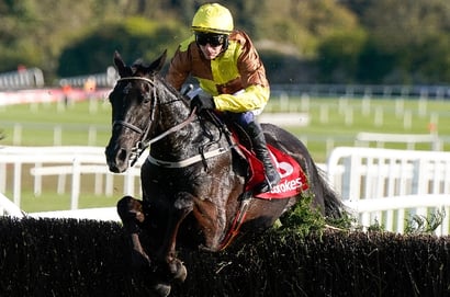2025 Punchestown Gold Cup Odds - Galopin Des Champs leads Spillane's Tower in the market
