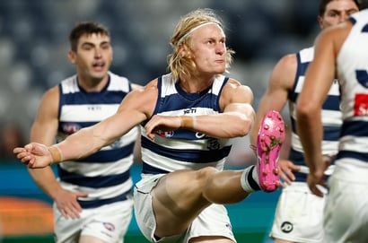 geelong cats